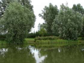 A12 Cuton Lakes