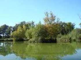 Ashmoor Lakes