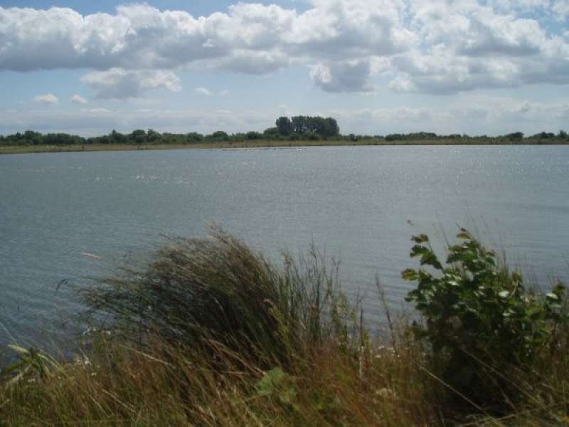 A fishing lake at Bain Valley Fisheries