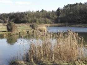 Bishops Bowl Lakes
