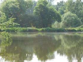 Bromeswell Lakes