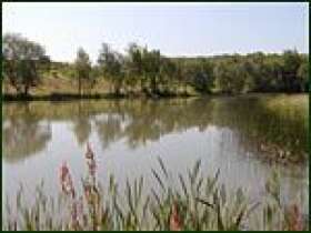 Cranbrook and District Angling Club