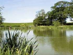 Creeting Lakes