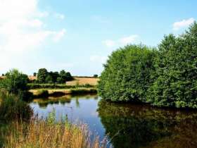 Elton Carp Lakes