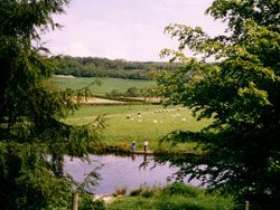Flowers Farm Trout Lakes