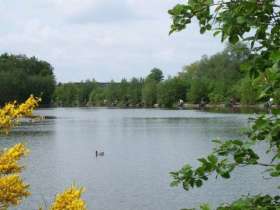 Gold Valley Lakes
