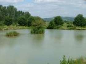 Hillview Lakes