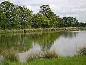 Mallory Park Fisheries