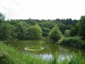 Sherwood Forest Fishery