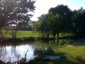 Sycamore Fisheries