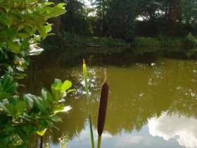 Twinlakes