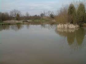 Weston Lawns Fisheries