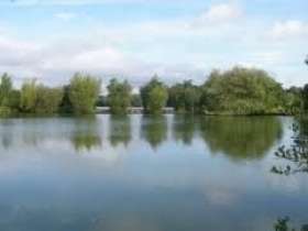 Willow Park Fishery