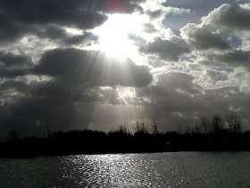 Wood Lane Fisheries