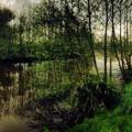 CarpFisher